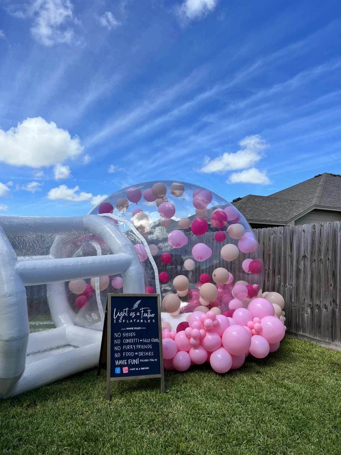 Pink balloons inside and around the bubble tent